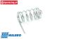 ZN0079 Walbro Drosselklappe Feder, 1 st.