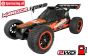 FG6158 Dekorbogen Marder Nero Buggy Rot, Set