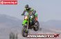 LOS06002T1 Promoto-MX RC Motorr. Grün Pro Circuit ARTR
