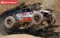 LOS05001 LOSI Desert Buggy XL, 4WD RTR