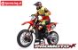 LOS06000T1 Promoto-MX Motorrad Rot FXR ARTR