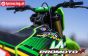 LOS06002T1 Promoto-MX RC Motorr. Grün Pro Circuit ARTR