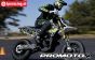 LOS-2272 Promoto-SM Supermoto Basic weiß ARTR