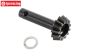 TLR252000 Triebling leicht 13Z LOSI-BWS, 1 st.