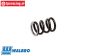 ZN0090 Walbro Misch schrauben feder L, 1 st.