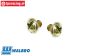 ZN0082 Walbro vergaser schraube, 2 st.