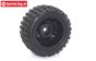 XR-FG8018 X-Rider Flamingo Hinterrad, 2 st.