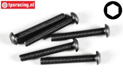 FG6736/40 Linsenkopf schraube M6-L40 mm, 10 st.