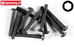 FG6737/20 Linsenkopf schraube M3-L20 mm, 10 st.