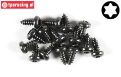 FG6916/09 Torx Linsenkopf-Blechschr. Ø4,2-L9 mm, 15 St.